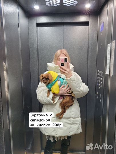 Одежда для собак мелких пород