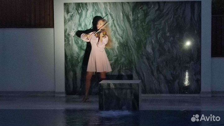 Скрипка на праздник. Музыканты. Новосибирск