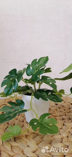 Искусственные цветы IKEA фейка