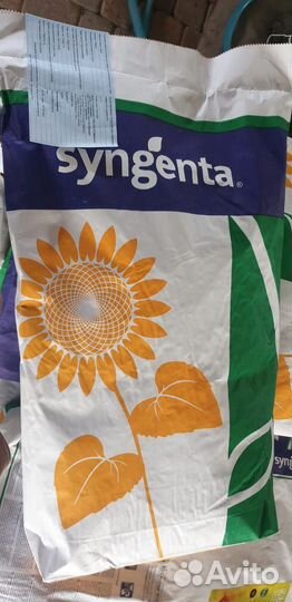 Семечки подсолнечника