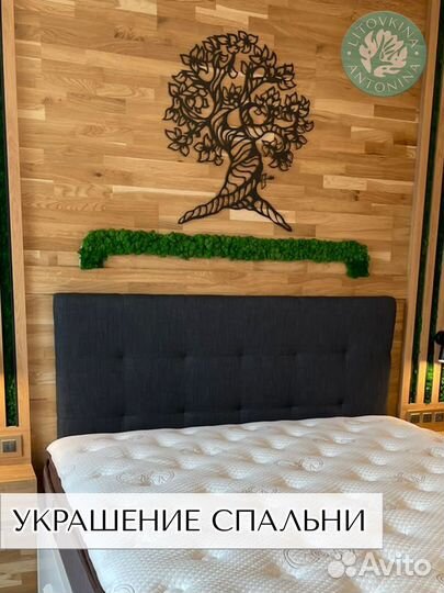 Лента из стабилизированного мха 50*5 см