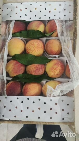 Сливы, персик инжир