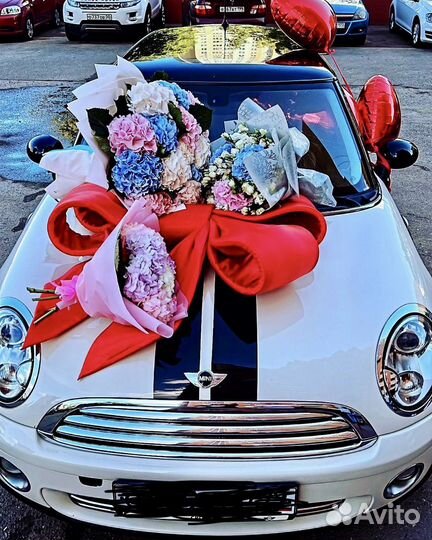 Большой бант на машину, фотосессию аренда