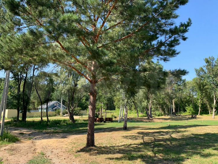 Участок 6 сот. (ИЖС)