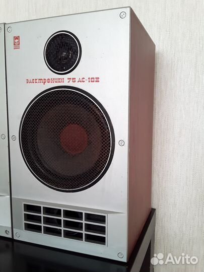 Акустические колонки Электроника 102