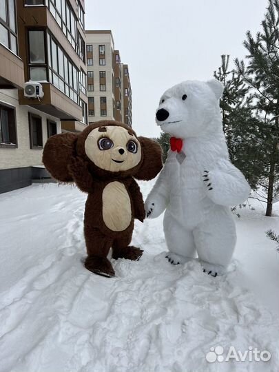 Организатор мероприятий