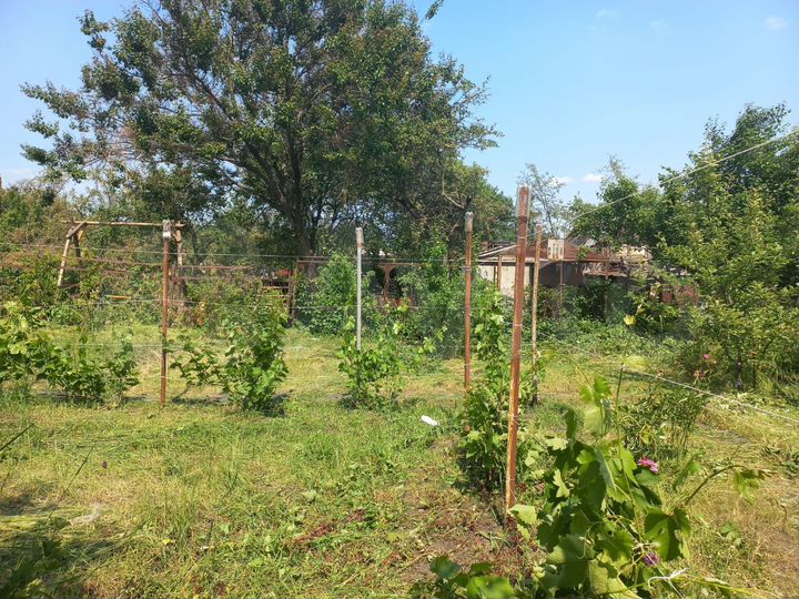 Дача 56 м² на участке 6 сот.