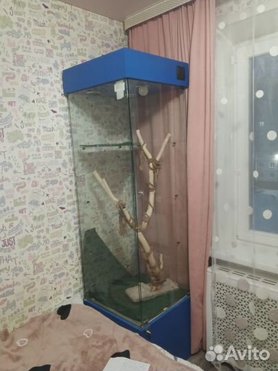 Террариум для змеи