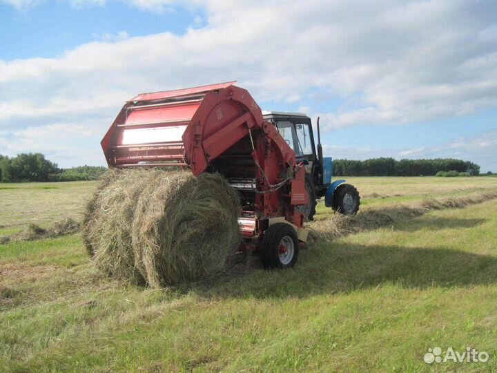 Сено в рулонах 2023 года 350кг рулон