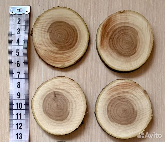 Набор из 20 спилов, диаметр спилов 6 - 8 см