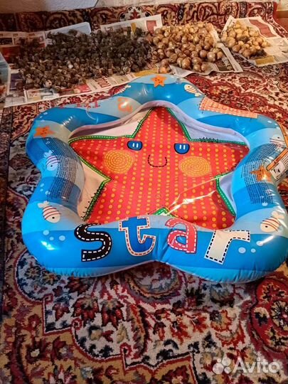 Детский надувной бассейн