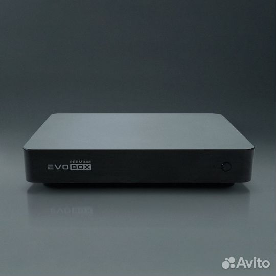 Караоке EvoBox Premium Black