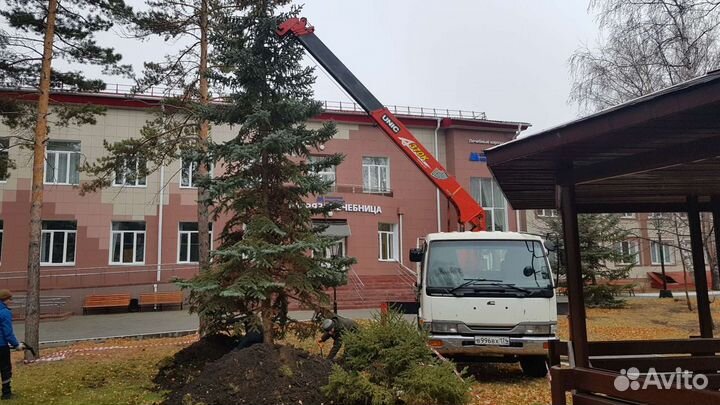 Услуги Манипулятора