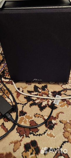 Attitude Houme Echo made in USA