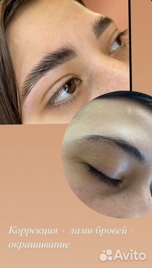 Мастер бровист