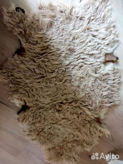 Шкуры овчины