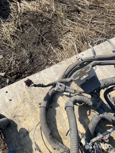 Коса,проводка под капотная land cruiser 80,81