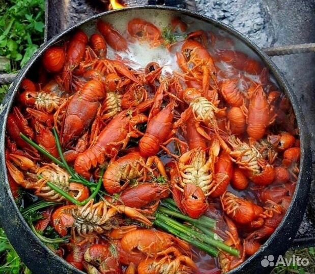 Микс живых речных раков в наличии