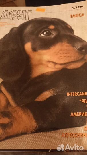 Журнал Такса