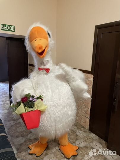 Гусь обнимусь