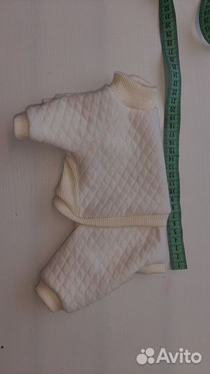 Одежда для маленьких пород собак