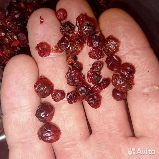 Брусника Сушёная