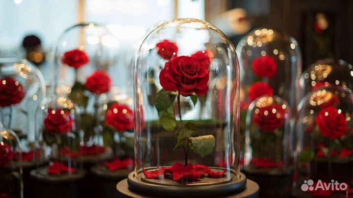 Роза в колбе