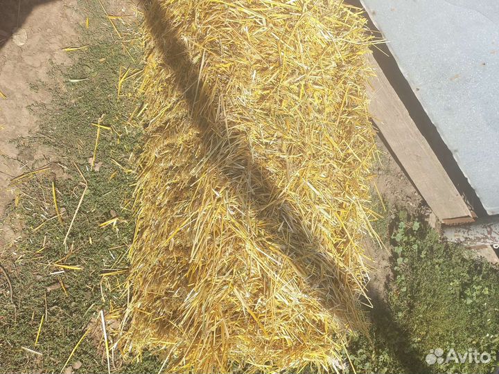 Сено в тюках 2023