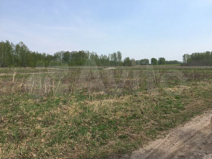 Участок 10,2 сот. (СНТ, ДНП)