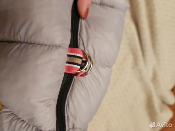 Зимний комбинезон для маленькой собаки(на девочку)