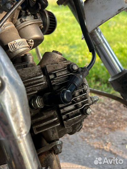 Virus pitbike 125 2021