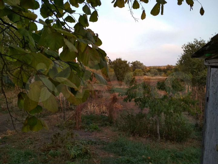 Дом 40 м² на участке 50 сот.