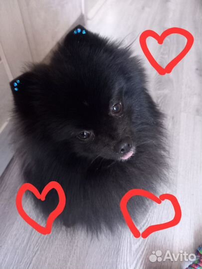 Молодой жених