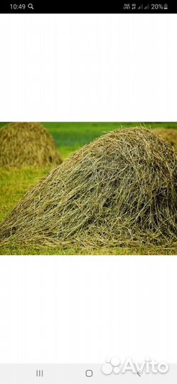 Сено