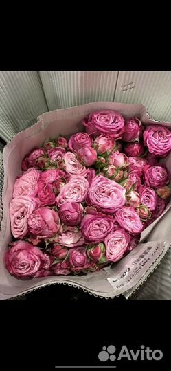 Пионовидные розы премиум