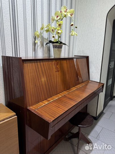 Пианино Кубань