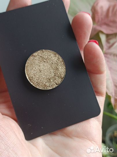 Тени Тамми Тамука Tammy Tanuka 018 из палетки Лев