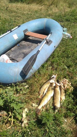 Участок 80 сот. (ИЖС)