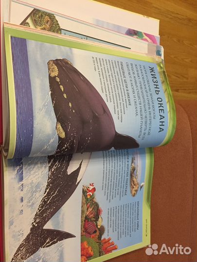 Детская энциклопедия