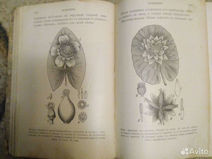 Антикварная книга Павел Вольногорский Страницы из