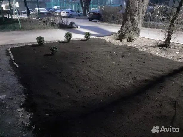 Чернозем арт97