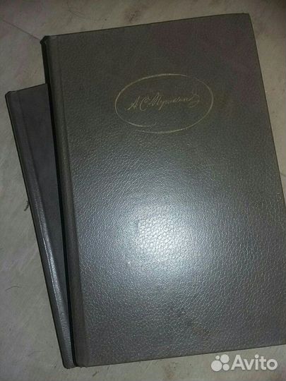 Пушкин, 2 тома