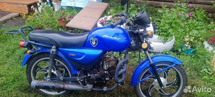 Alfa pegas bandit 110