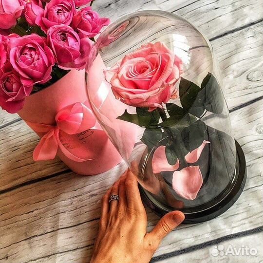 Роза в колбе 