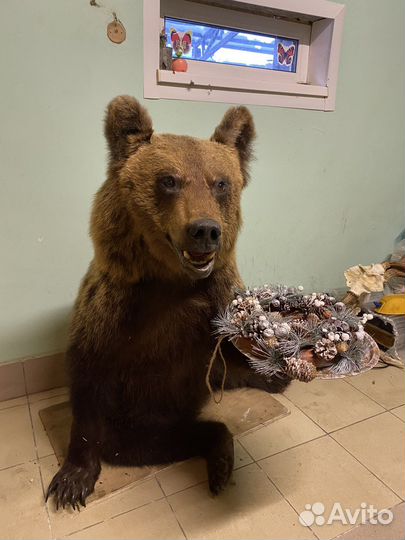 Чучело медведя имитация