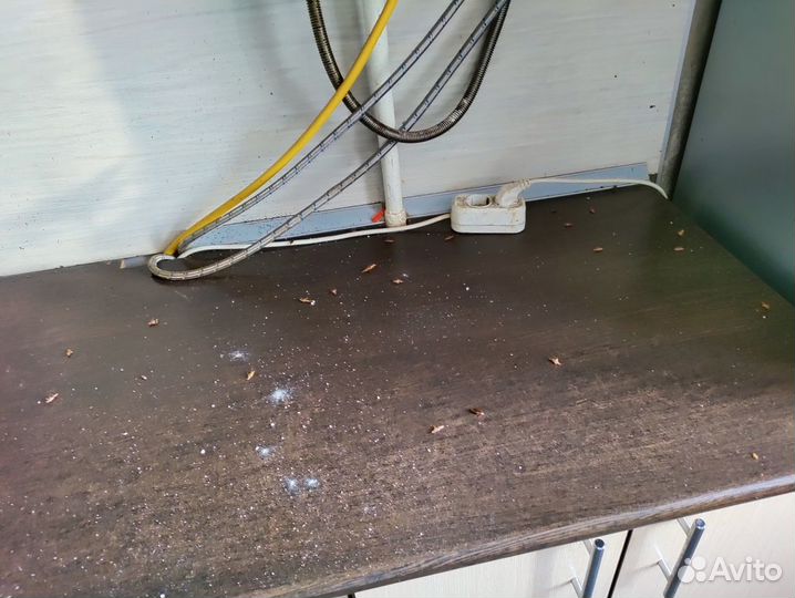 Уничтожение клопов, травить тараканов, дезинфекция