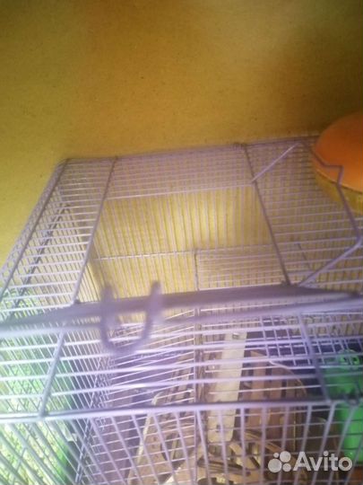 Клетка для хомяка