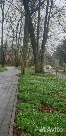 Прокат велосипедов