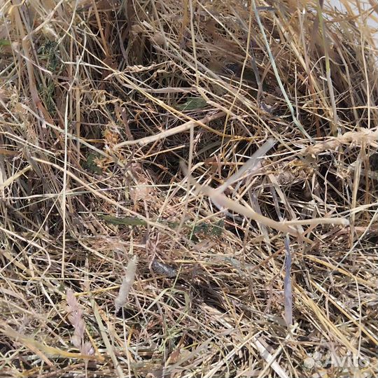 Сено в мешках