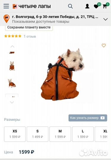 Комбинезон для средней собаки Petmax